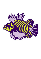 poisson mechant  exotique