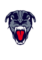 pitbull chien animal feroce