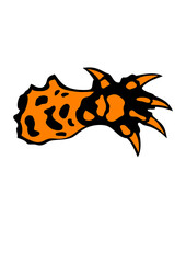 patte griffe animal guepard