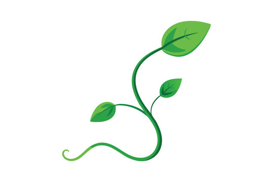 green plant stem with leaves clip art preview