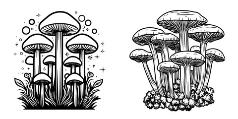 Black and white artistic illustration of mushrooms surrounded by flora and bubbles in a whimsical design
