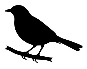 Obraz premium Bird Silhouette: A minimalist silhouette of a bird perched gracefully on a branch, symbolizing freedom and natural beauty. AI Generative