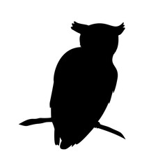 Night owl sitting on a branch silhouette