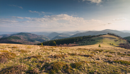 wonderful springtime landscape in mountains. grassy field and rolling hills