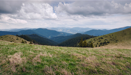 Fototapeta premium wonderful springtime landscape in mountains. grassy field and rolling hills