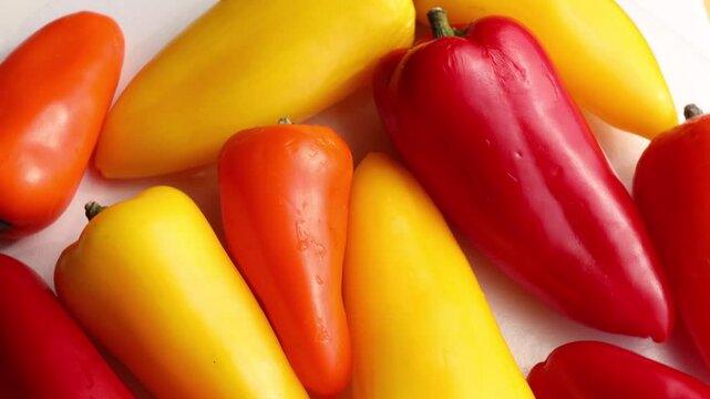 Colorful mini sweet peppers rotating in circle. Red, yellow, and orange peppers create vibrant healthy background. Fresh vegetables in motion for cooking or salad prep.