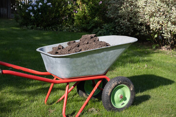 Wheelbarrow full of humus and compost on green lawn with well-groomed phlox flowers in private...
