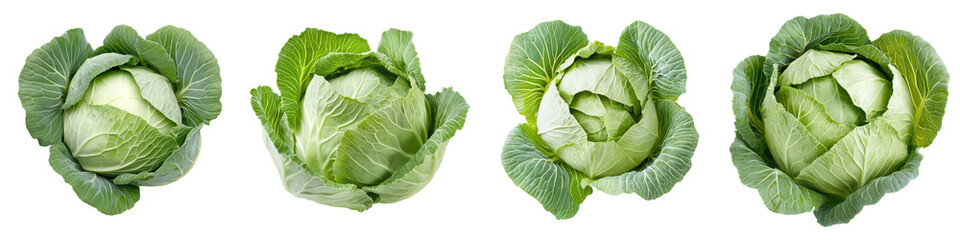Obraz premium Four leafy green cabbages in a row, showing varying textures and shapes, a healthy food presentation.