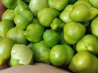 Chickpeas green grains with yellow seed's or Cicer arietinum L green grains or green seeds.chickpeas pattern background 