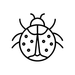 Obraz premium Line drawing of a ladybug on a white background 