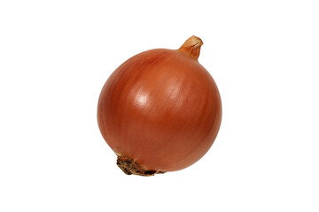 Fresh and Vibrant Whole Onion Isolated png Background.