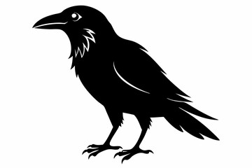 crow silhouette on white background
