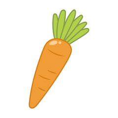 Carrot vector cartoon illustration 