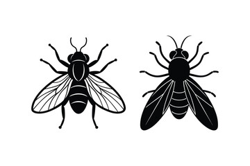 set of a fly vector illustration
