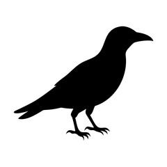 Fototapeta premium black crow silhouette vector for wildlife designs, nature themes, and creative art projects 