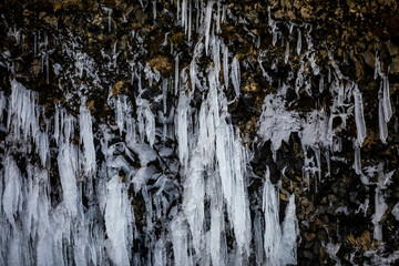 ice crystals on a rock