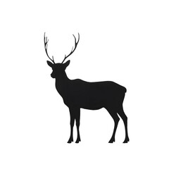 Fototapeta premium Deer Silhouette: A striking dark figure of a stately deer against a black background, highlighting the animal's form and majestic antlers.