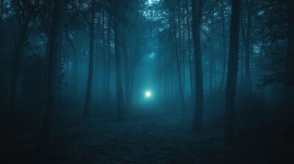 Fototapeta premium Eerie night forest path, glowing light, misty trees, spooky background, fantasy