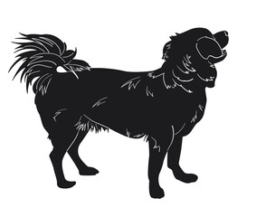 Silhouette of a small dog with a fluffy tail. Vector illustration