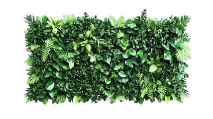 Obraz premium Lush Green Vertical Garden Vibrant Foliage Tranquil Nature
