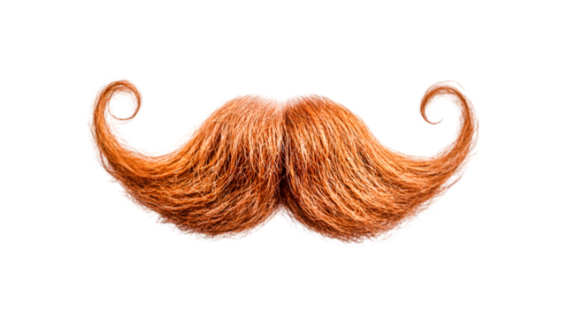 A magnificent ginger handlebar mustache swirls elegantly a symbol of vintage charm and playful masculinity