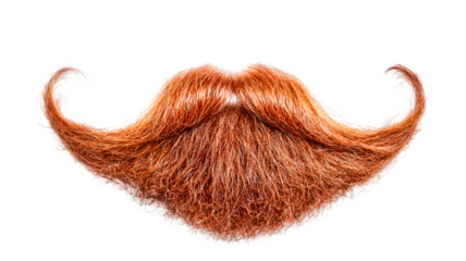 A magnificent fiery red handlebar mustache a symbol of masculinity and style