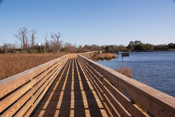 Naklejka premium Neuse River Marshland Walkway