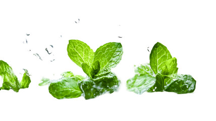 Obraz premium Fresh Mint Leaves Splashing Refreshing Green Nature