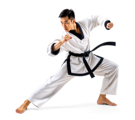 Male Taekwondo athlete in ready fighting stance on isolated background