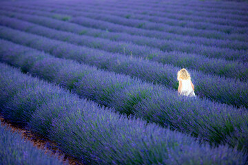 Bambina in Provenza nei campi di lavanda di Valensole, Francia