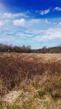 Vertikale Ansicht eines dornigen Geb&uuml;schs und eines Feldes unter blauem Himmel in Bayern, Deutschland