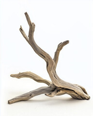 Obraz premium Natural dried driftwood branch isolated on white background