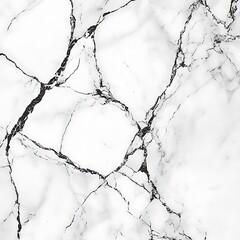 Fine black and white marble design with natural veining