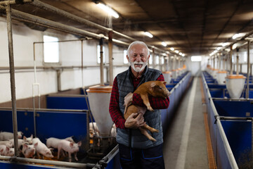 Farmer carrying piglet in arms in pig pen