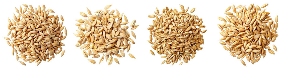 Four piles of light brown oat grains showing textured surfaces grouped in a row before processing for use in products or consumption.