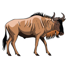 Wildebeest standing, African wildlife animal. Vector illustration of a wildebeest in a natural pose, ideal for wildlife themed designs, educational materials, and nature inspired artwork.