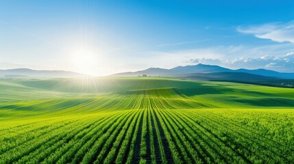 Discover the stunning Grodziec Castle, a historical fortress nestled amidst vibrant fields and lush forests in Lower Silesia.