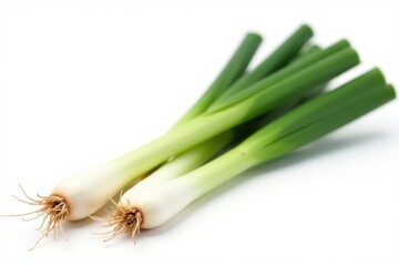 Fresh green onion stems with bulbs isolated on white background, garden details , plant, green