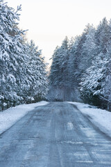 A frozen road in a winter forest