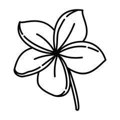 frangipani flower outline illustration. flower black line illustration.
