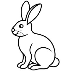 Easter Bunny Line Art Drawing