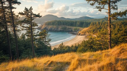 Obraz premium Coastal sunset view, secluded beach, pine trees, hills, Pacific Northwest