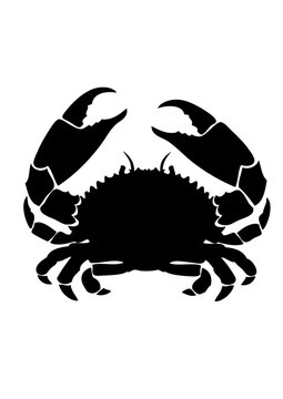 crabe dessin