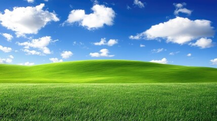 Obraz premium Lush green rolling hills under a bright blue sky with scattered white clouds, bathed in soft sunlight