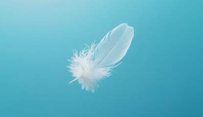 Delicate white feather floating against a teal backdrop