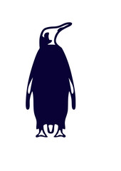 pingouin dessin animaux rigolo