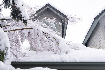 A heavy snow leaves broken branches on the roof of a house.  Tree trimming services are recommended.