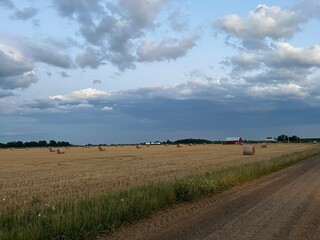 Obraz premium Along the hayfields