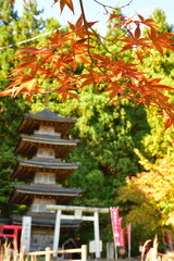 酒呑童子神社（新潟県）