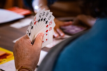 Bridge Card Hand Game